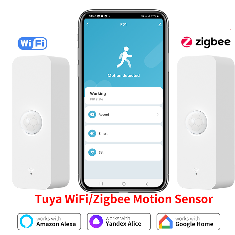Smart Home Matter - Tuya WiFi Zigbee PIR Motion Sensor