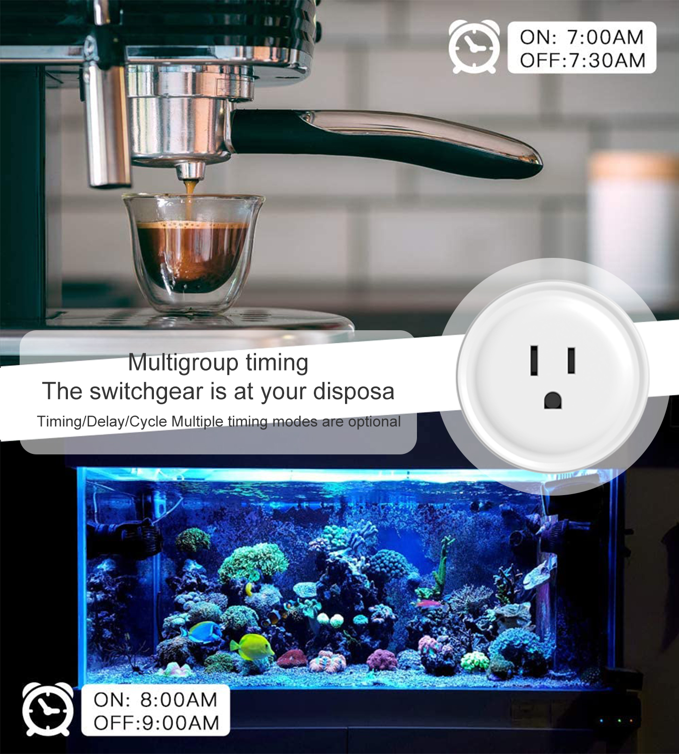 Tuya WiFi US Round 10A Smart P - مراجعة Smart Home Matter وسعره