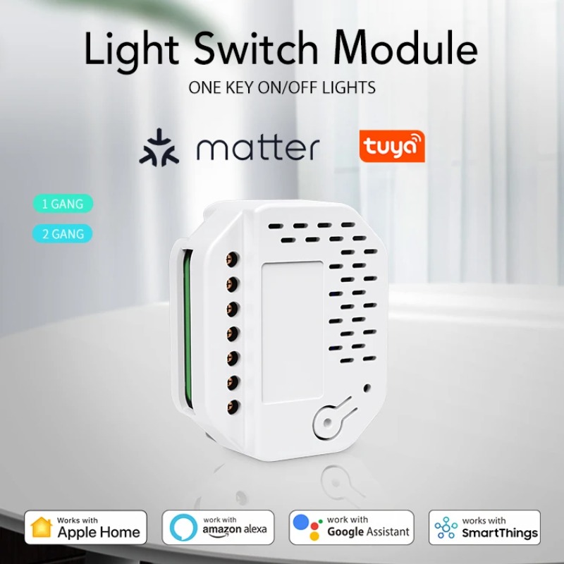 Matter Light Switch Module 2Ga - مراجعة Smart Home Matter وسعره