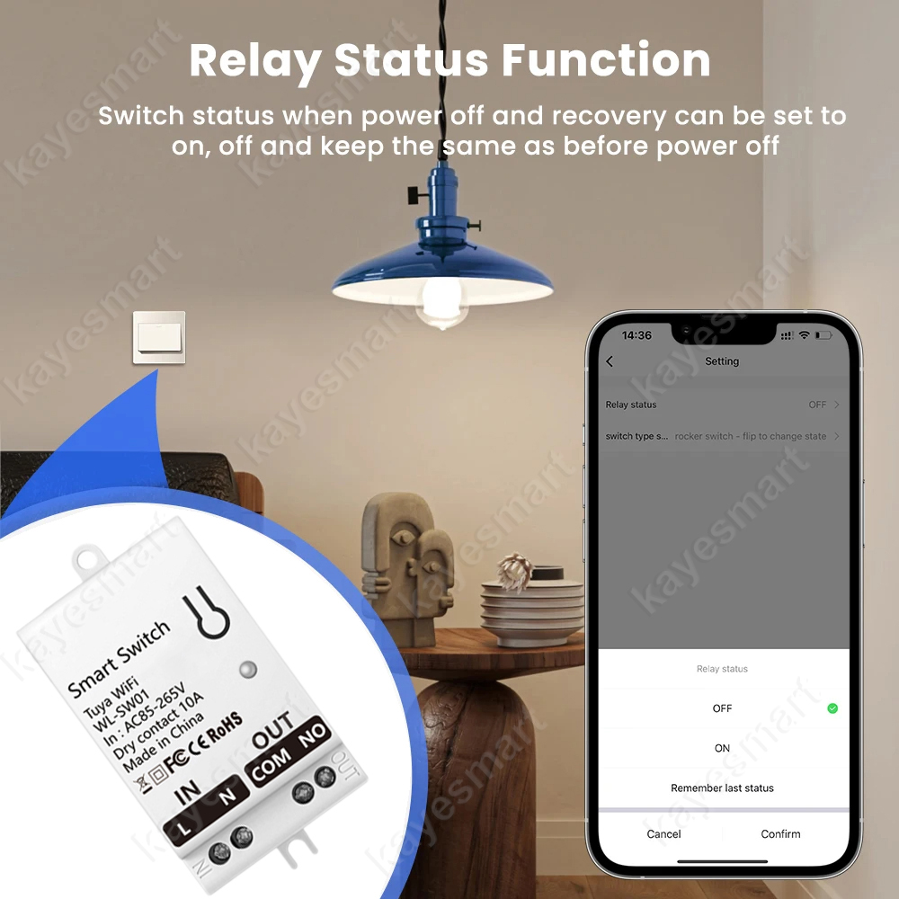 Tuya WiFi Smart Switch Module  - مراجعة Smart Home Matter وسعره