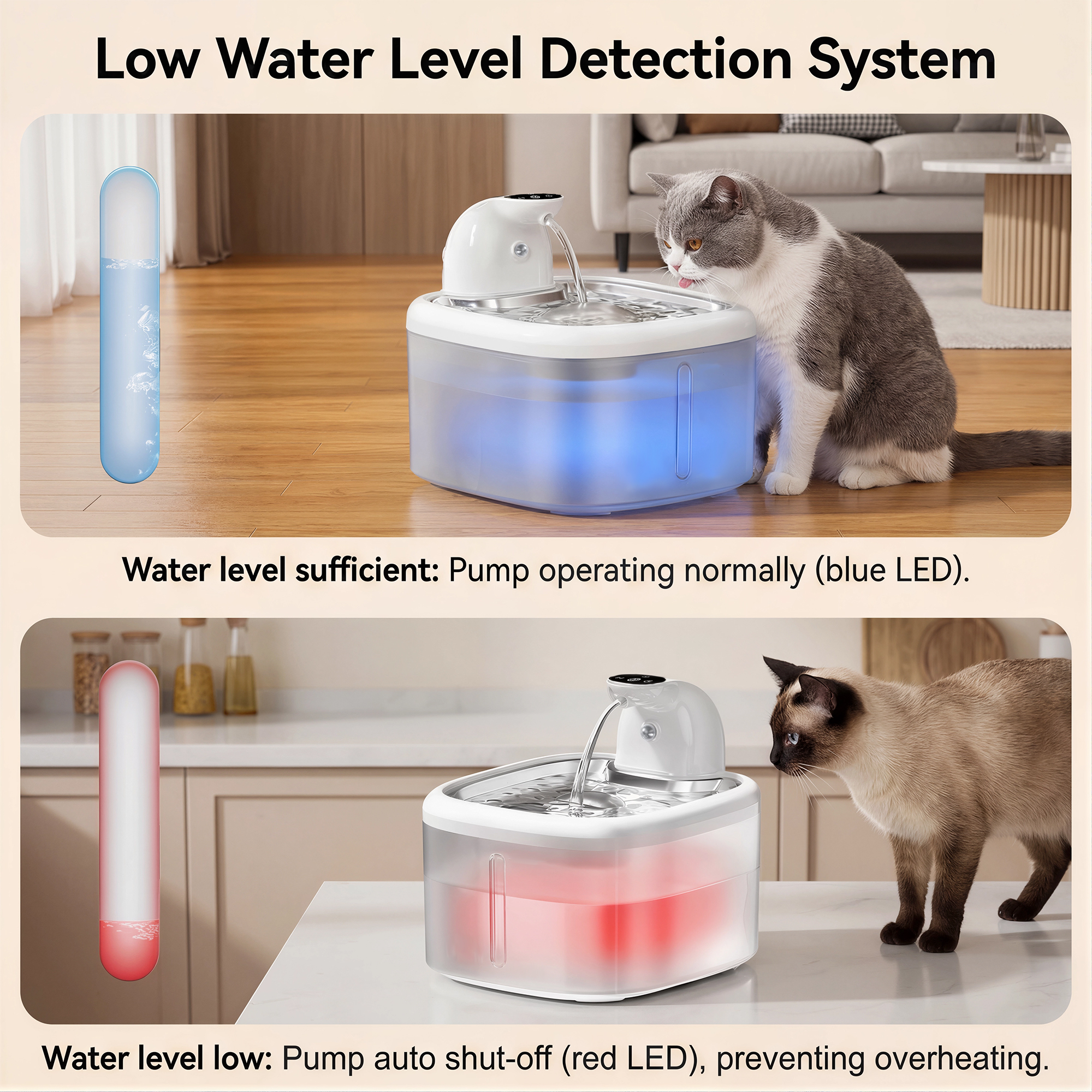 3.5L Wireless Cat Water Founta - مراجعة Home Smart Kettle وسعره