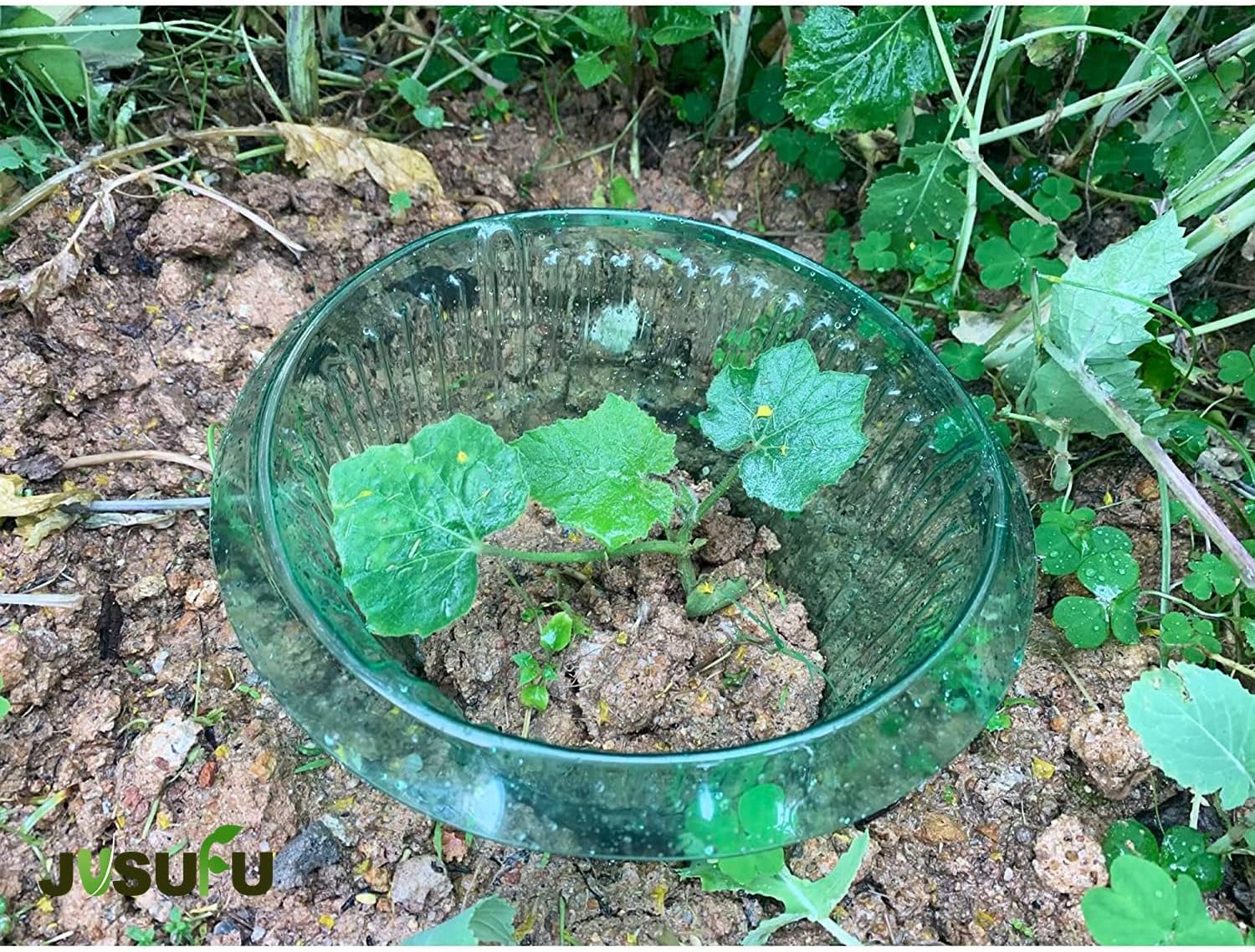 1/30pcs Plants Slug Protection - مراجعة Smart Home Green وسعره