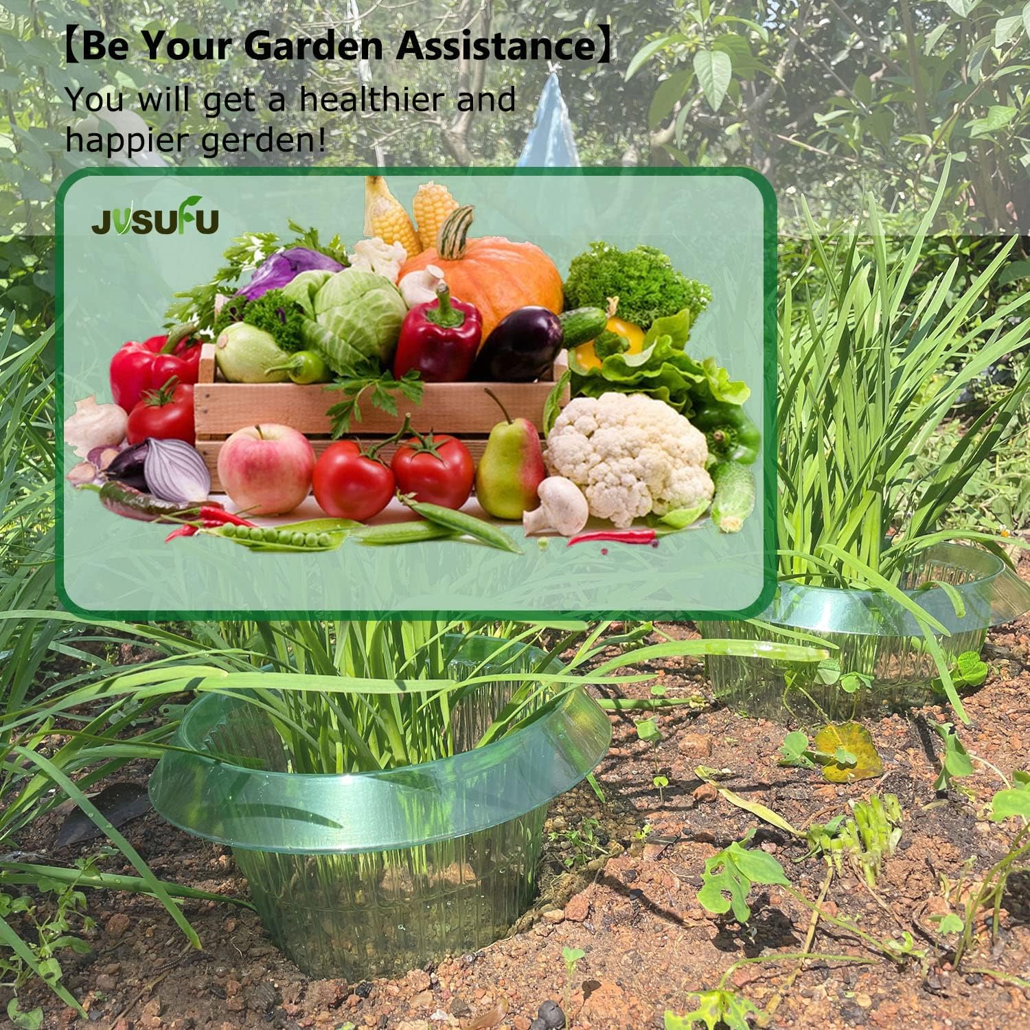 1/30pcs Plants Slug Protection - مراجعة Smart Home Green وسعره