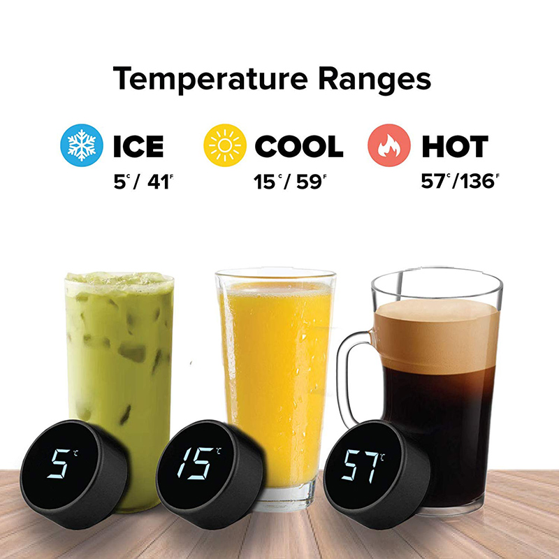 Stainless Steel Smart Water Bo - مراجعة Home Smart Kettle وسعره