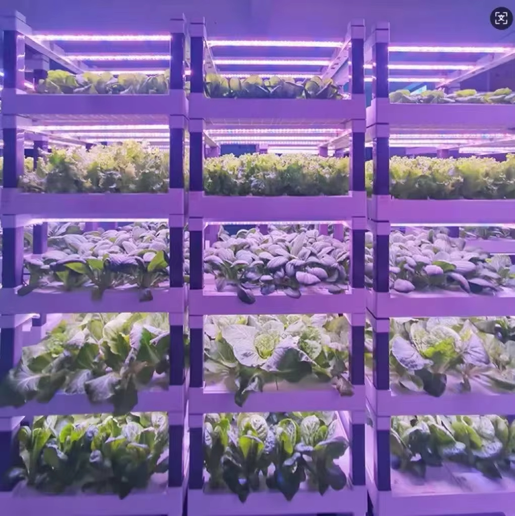Hydroponic Grow System Greenho - مراجعة Smart Home Devices وسعره