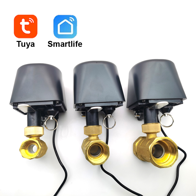 Tuya WiFi or Zigbee Water Valv - مراجعة Smart Home Green وسعره